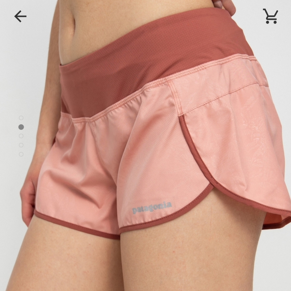 Patagonia Women's Strider Shorts